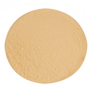 Briess DME Pale Ale 1lb, product image from Quirkyhomebrew