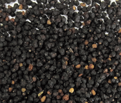 Elderberries, Dried - 1oz
