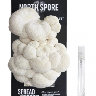 North Spore Lion's Mane ‘Spray & Grow’ Mushroom Growing Kit