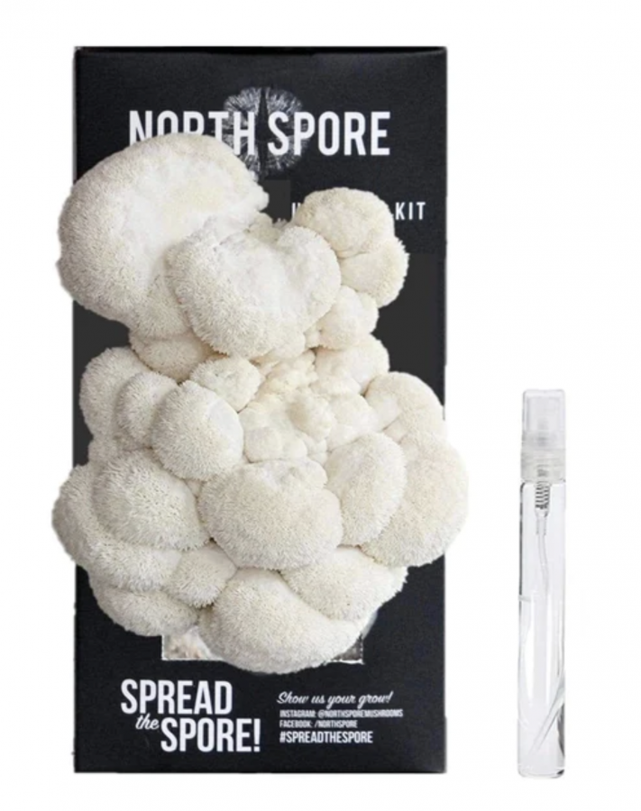 North Spore Lion's Mane ‘Spray & Grow’ Mushroom Growing Kit