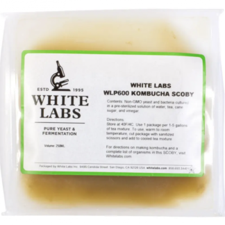White Labs Kombucha Scoby WLP600