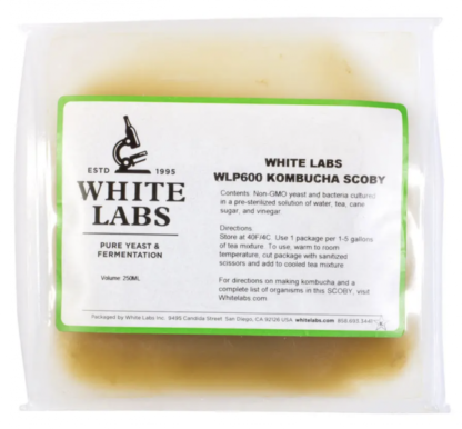 White Labs Kombucha Scoby WLP600
