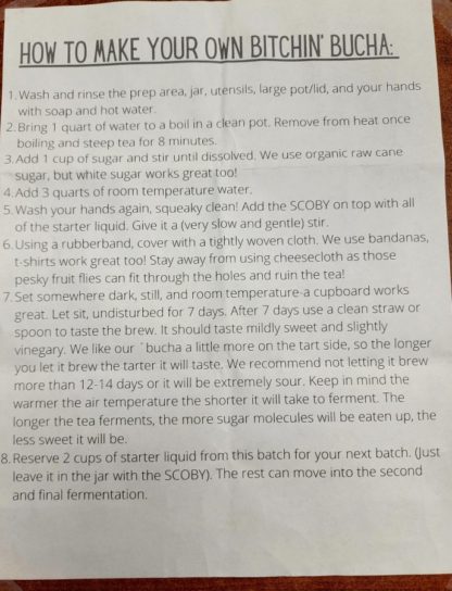 Life's a Buch Kombucha Starter Kit with Scoby - 1 Gallon