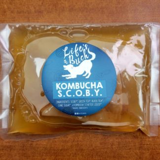 Life's a Buch Kombucha Scoby