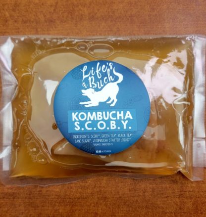 Life's a Buch Kombucha Scoby