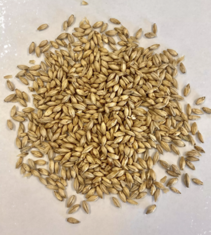 Montana Craft Malt 2-Row Base Malt (2.4L) - 1lb