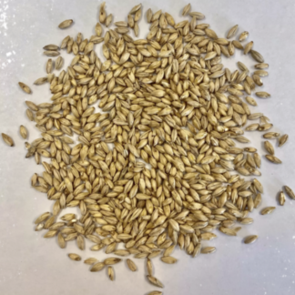 Montana Craft Malt Pilsner Malt (2.2L) - 1lb
