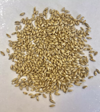 Montana Craft Malt Pilsner Malt (2.2L) - 1lb