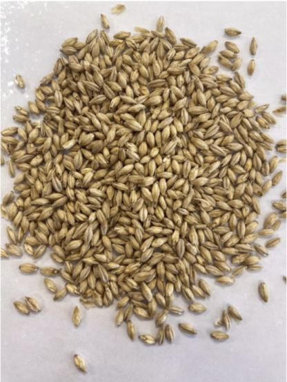 Montana Craft Malt Vienna Malt (2.4 - 4.3L) - 1lb