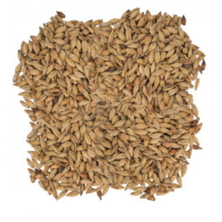 Montana Craft Malt Melanoidin Gold Malt (5 - 10L) - 1lb