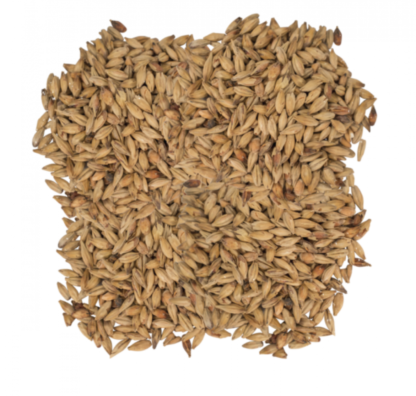 Montana Craft Malt Melanoidin Gold Malt (5 - 10L) - 1lb