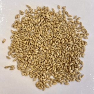 Montana Craft Malt Dextrin Malt (2L) - 1lb