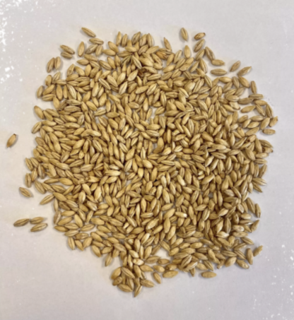 Montana Craft Malt Dextrin Malt (2L) - 1lb