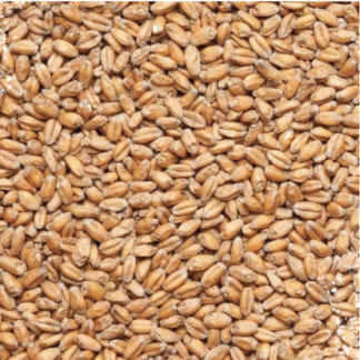 Montana Craft Malt Pale White Wheat Malt (2.4 - 3.5L) - 1lb