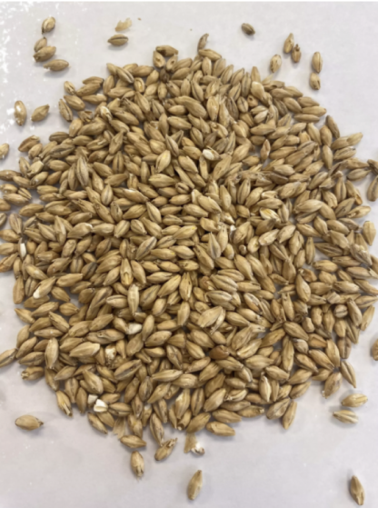 Montana Craft Malt Bavarian Pilsner Malt (2.2L) - 1lb