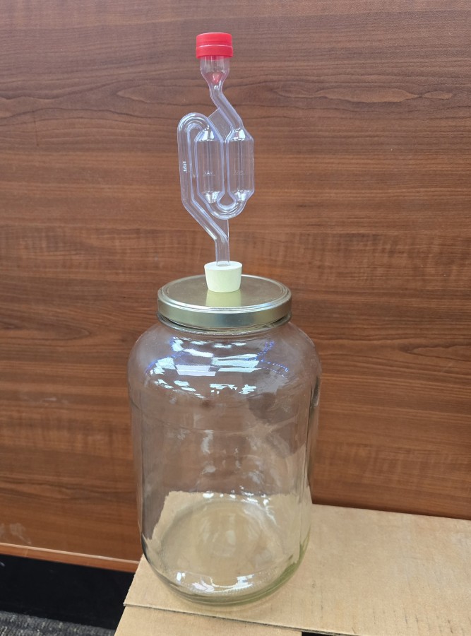 Wide Mouth 1 Gallon Fermentation Setup - Glass Carboy with Stopper and Airlock - 128oz