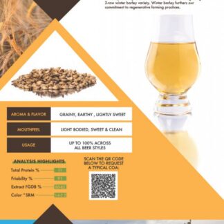 Root Shoot Lightning Pilsner (1.6L-2.2L) 1lb
