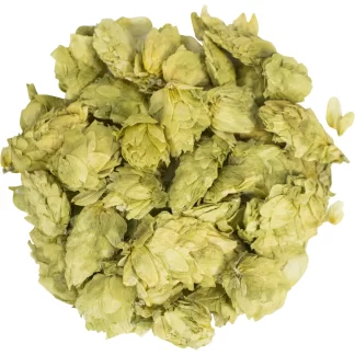 Amarillo® Brand VGXP01 (US) - Whole Cone Hops - 2oz