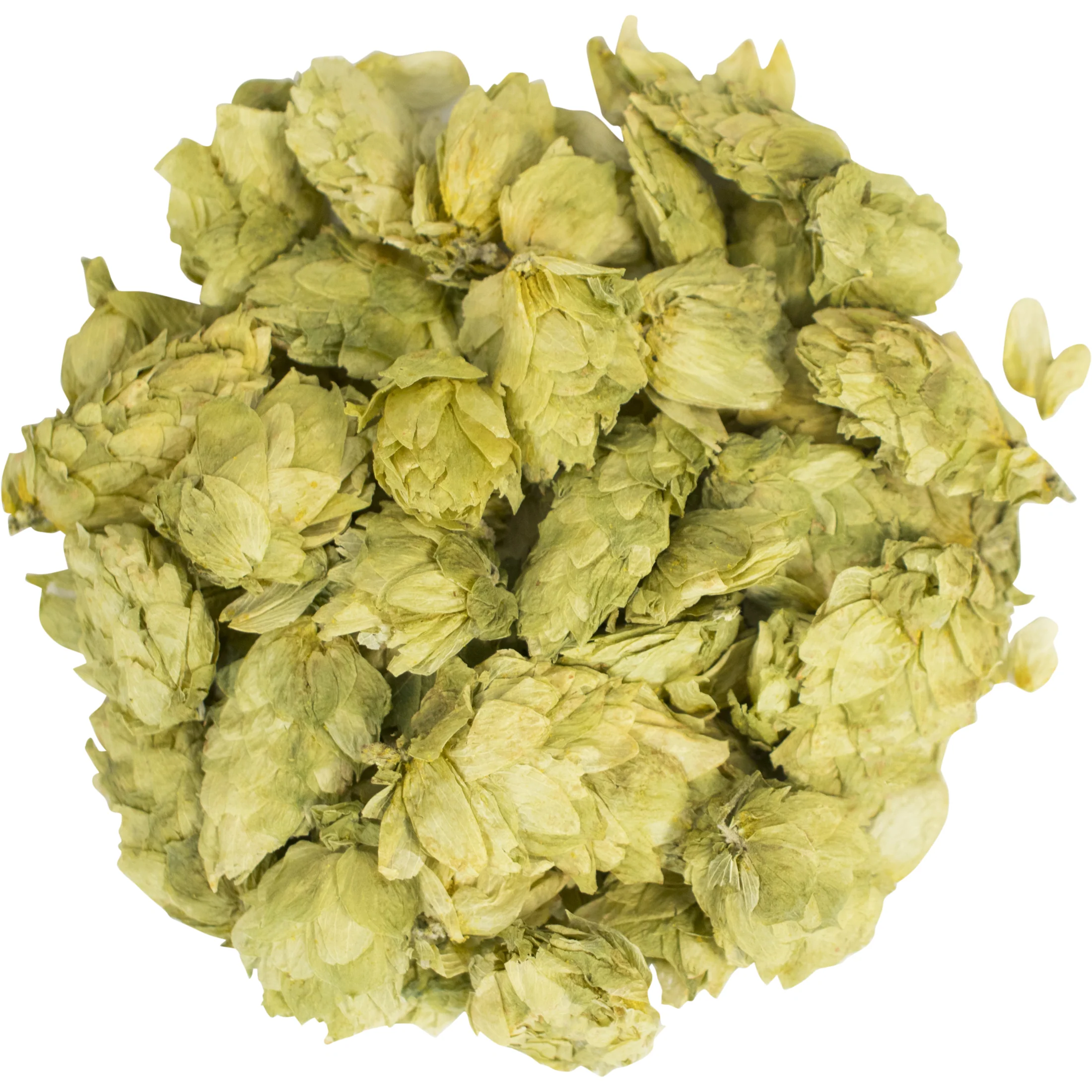 Citra (US) - Whole Cone Hops - 2oz