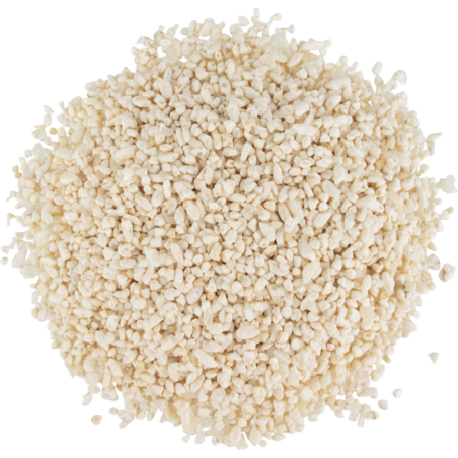 Japanese White Koji - 20oz